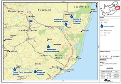 Gender differentials among small scale irrigation farmers’ income: empirical evidence from cabbage farmers in KwaZulu-Natal, South Africa